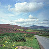 Grampian's Highway...